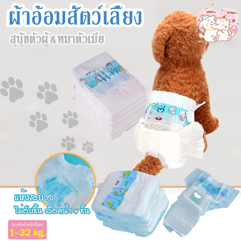 [พร้อมส่ง] ผ้าอ้อมสัตว์เลี้ยง เหมาะสำหรับสุนัขและแมว สวมใส่ง่าย สะดวกสบาย คุณภาพสูง คุ้มราคา