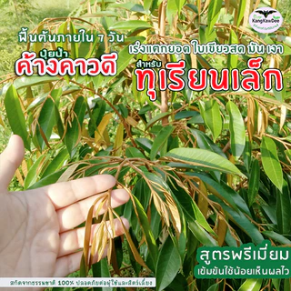 ปุ๋ยทุเรียนเล็ก ค้างคาวดี(ของแท้)150มล เร่งต้นโตไว ฟื้นต้นโทรม เร่งแตกยอด ใบเขียวสดมันเงา F1D-150ML