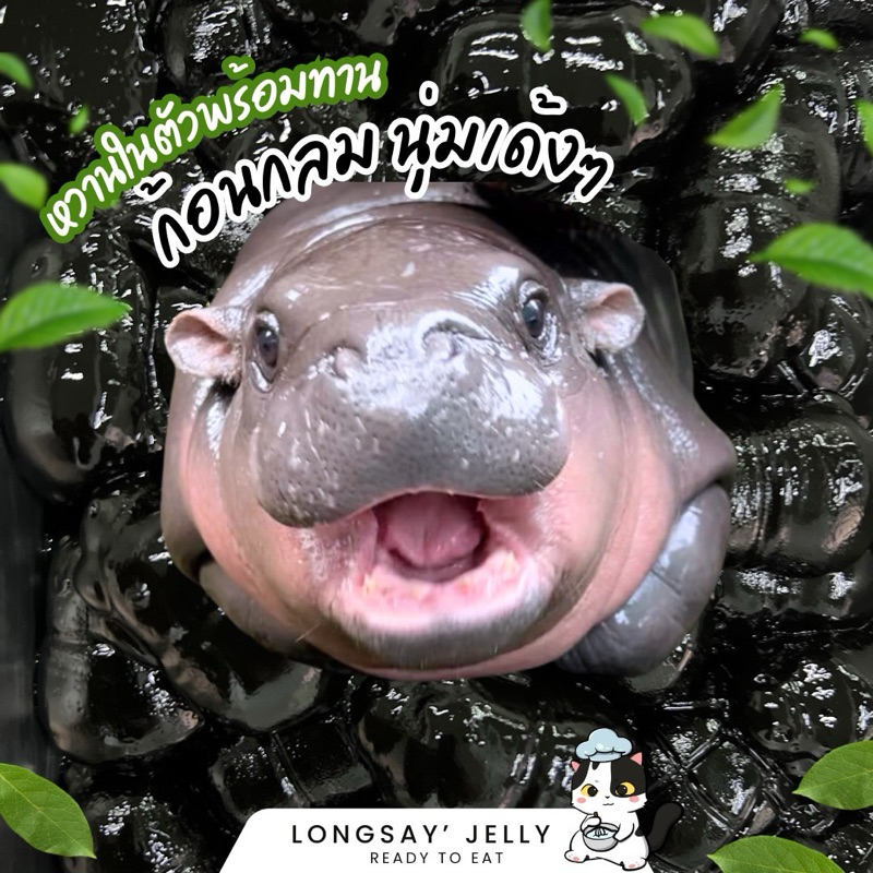 เฉาก๊วยลายหมูเด้งสุดคิ้วท์ ขนาด 1 กิโลกรัม