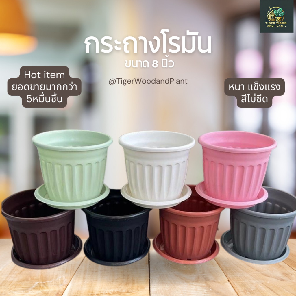 กระถางต้นไม้ โรมัน 8 นิ้ว ((พร้อมส่ง))(ยอดขาย52k++)