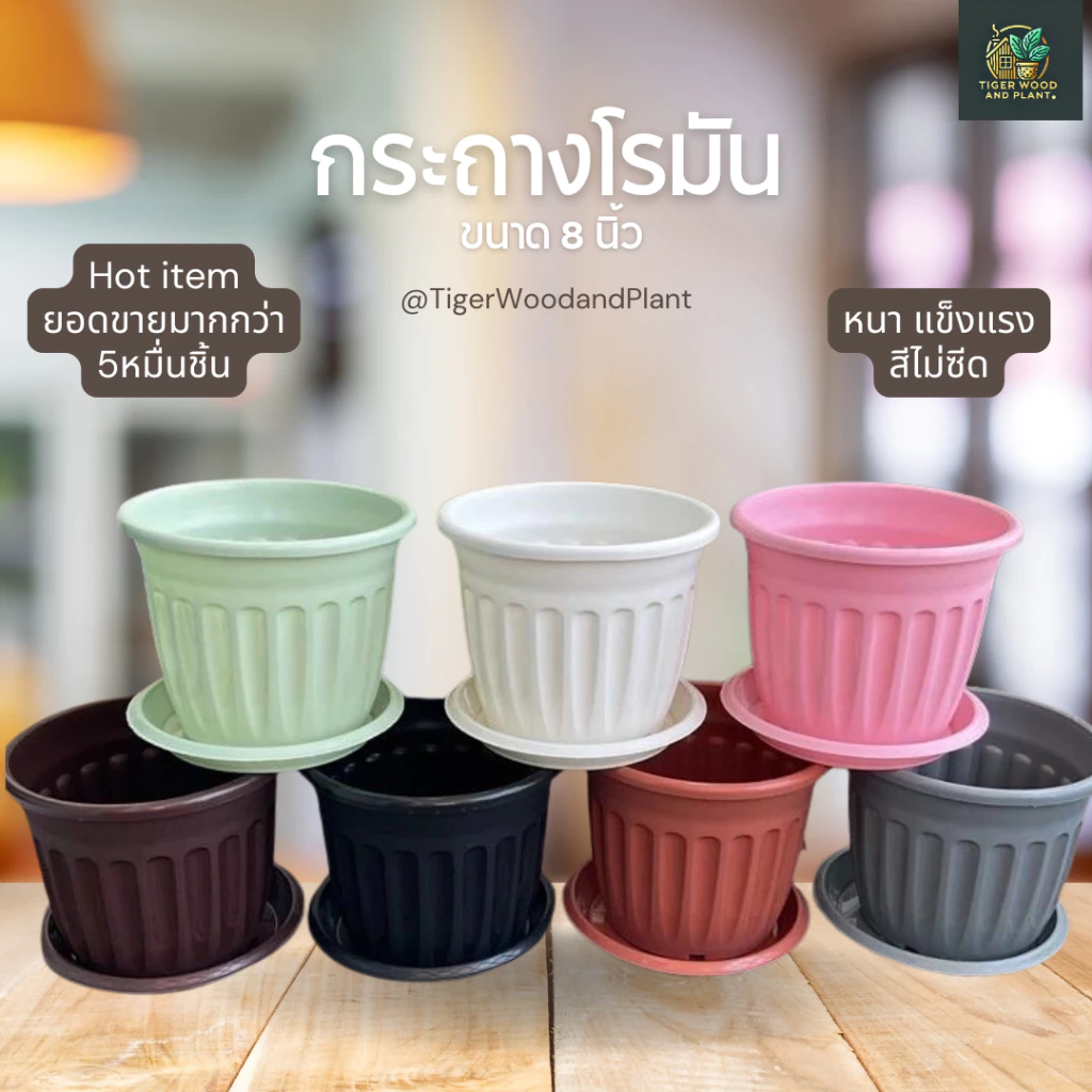 กระถางต้นไม้ โรมัน 8 นิ้ว ((พร้อมส่ง))(ยอดขาย52k++)