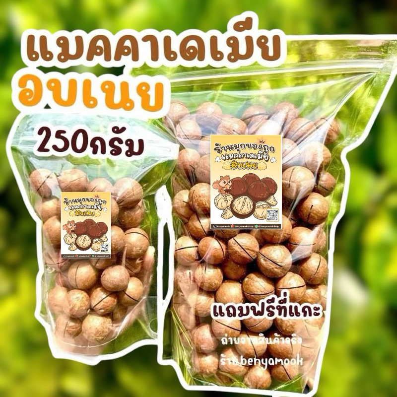 ราคาส่ง แมคคาอบเนย แมคคาเดเมีย เกรดAAA อบเนย สด ใหม่ พร้อมทาน แมคคาเดเมียอบ macadamia เม็ดใหญ่
