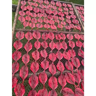 ปลาทูแดง น้ำหนัก 500 กรัมหรือครึ่งกิโลกรัม แพ็คถุงซีลสูญอากาศอย่างดี ทำจากปลาทู สดใหม่ ปลาตากใหม่ทุกวัน สินค้าขายดี