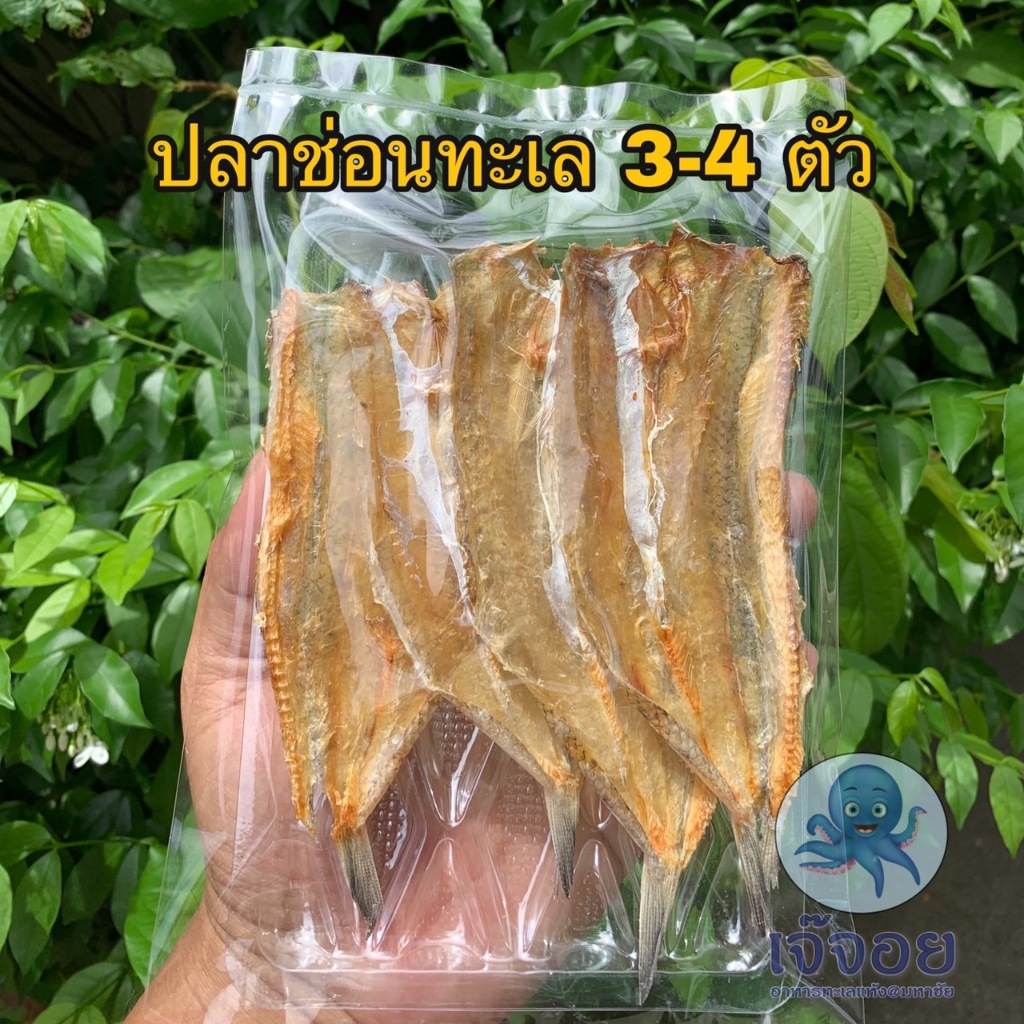 ปลาช่อนทะเลตากแห้ง สดใหม่จากมหาชัย (สั่งขั้นต่ำ 3 แพ็ค คละกันได้)