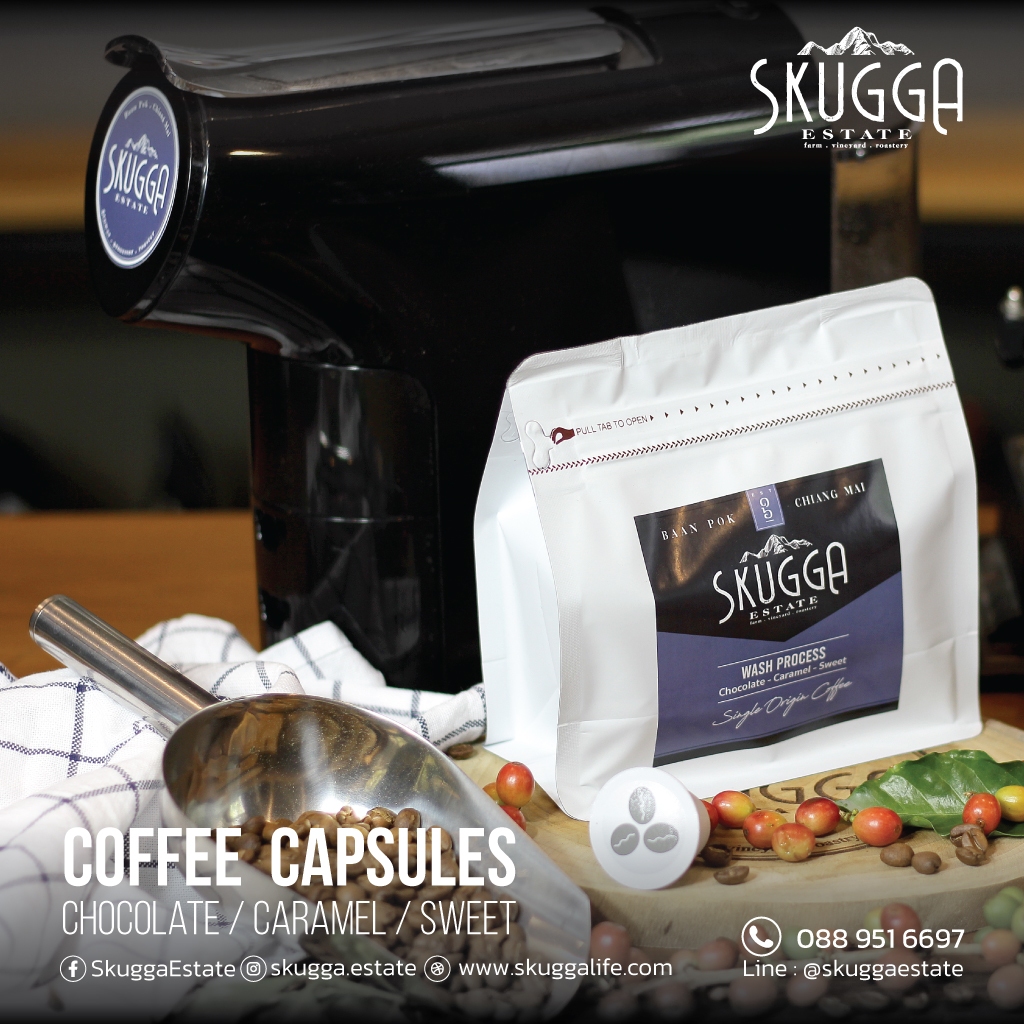 กาแฟแคปซูล Coffee Capsules (Nespresso compatible)