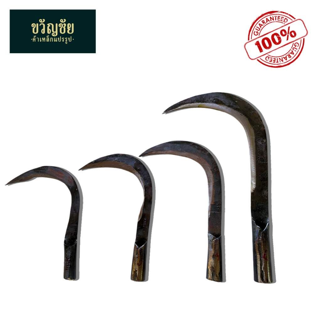 ขอชัก มีดขอชัก ขอโค้งปลายแหลม เหล็กกล้า ขอชักสำหรับตัดกิ่งไม้ ใบไม้