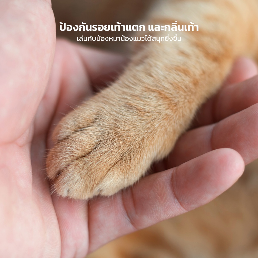 KUMOO PET ครีมบำรุงเท้า สำหรับสัตว์เลี้ยง สุนัข แมว ช่วยให้เท้าชุ่มชื้น - รูปที่ 4
