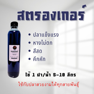 สตรองเกอร์ แก้ปลาหางตก ปลาสดชื่นแข็งแรง