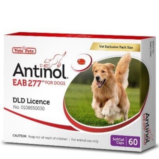 นำเข้า Antinol DOG 60 แคปซูล แพ็คเกจใหม่ อาหารเสริมบำรุงข้อ ข้ออักเสบ（สั่งซื้อตอนนี้จัดส่งได้ทันที）