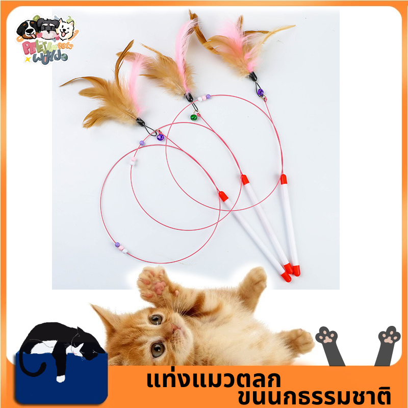 พร้อมส่ง😺ไม้ขี้แมว ไม้แมว ไม้ล่อแมว ของเล่นแมว ของเล่นแมวมีกระดิ่งและขนนก เล่นกับแมว คลายเครียด และคลายเหงา