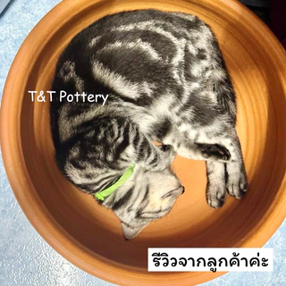 (ขอบเรียบ) อ่างดินเผา 12/14/16/18 นิ้ว ปลูกต้นไม้ เลี้ยงปลา อ่างแมว จัดสวนถาด อ่างบอนไซ กระถางบอนไซ (ไม่เจาะรู)