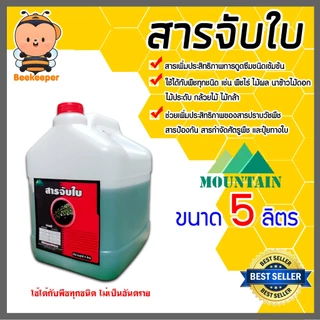 G-force และ Mountain สารจับใบเข้มข้นชนิดพิเศษ ขนาด 5 ลิตร ช่วยในการยึดเกาะพื้นผิว ทำให้น้ำยาแผ่กว้าง ดูดซึมได้ดี