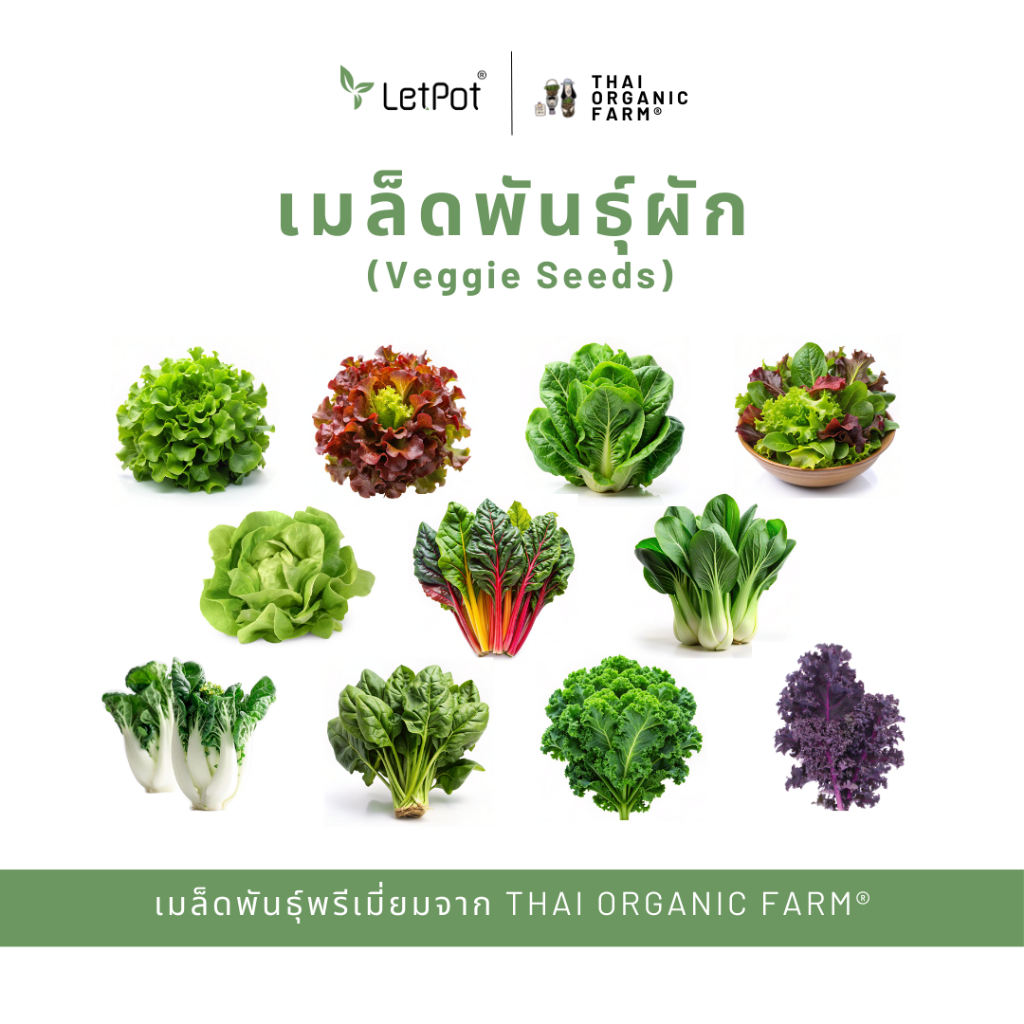 Premium Quality Seeds เมล็ดพันธุ์ผัก Veggie Seeds พรีเมี่ยม THAI ORGANIC FARM®