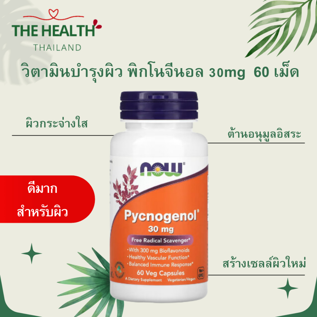 Now Pycnogenol 30 mg 60 เม็ด - วิตามินบำรุงผิว ช่วยให้ผิวกระจ่างใส ต้านอนุมูลอิสระ หมดอายุ 11/2027