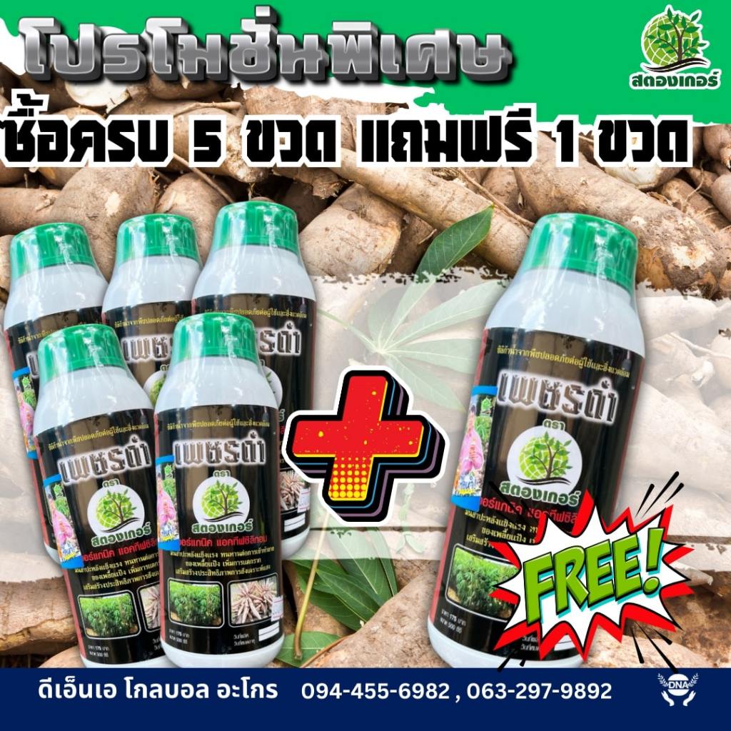 5ขวดฟรี1ขวด เพชรดำ(สตองเกอร์)แช่ท่อนพันธุ์มัน เร่งการแตกราก#ฉีดพ่นในไร่มันป้องกันเพลี้ยแป้ง#เร่งใบมันวาว #ขนาด500ซีซี