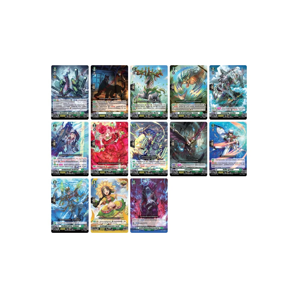 แวนการ์ด D-CP03 สโตยเคีย แยกใบ