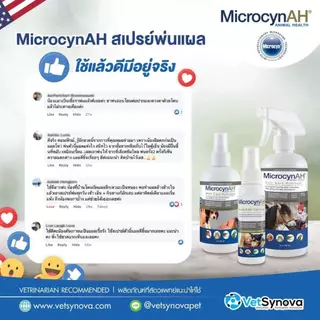 Microcyn AH รักษาแผล ฆ่าเชื้อแบคทีเรีย ไวรัส ยีสต์ สปอร์ EXP11/26 เชื้อรา และโรคผิวหนัง กับสัตว์ทุกชนิด