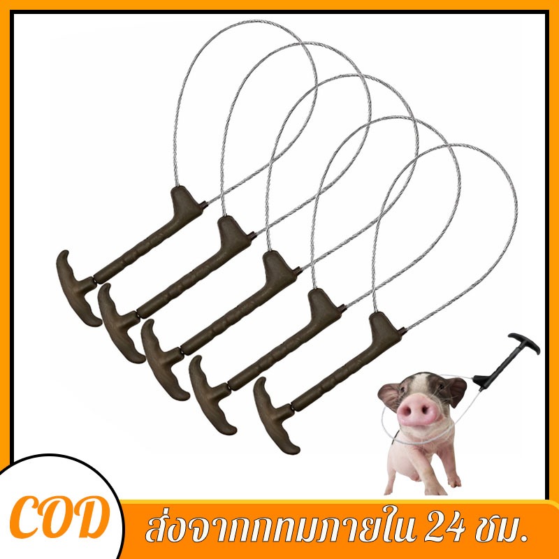 สลิงคล้องปากหมู ลวดมัดปากหมู ลวดสลิงมัดปากสุกร ลวดคล้องปากหมู ที่จับหมูสแตนเลส