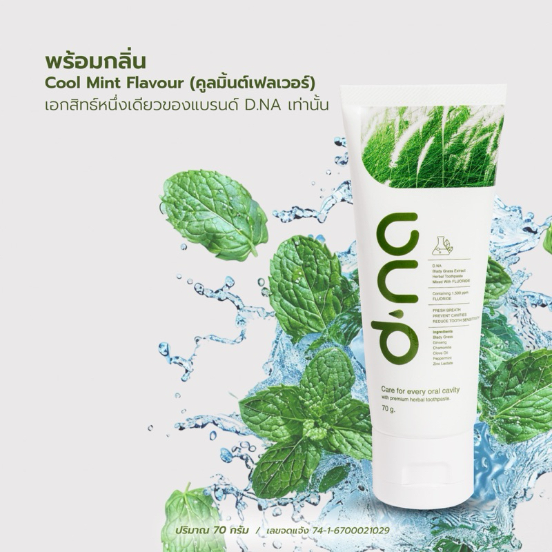ยาสีฟัน แบรนด์ดีนะ 1 แถม 1 : d na ยาสีฟัน สมุนไพรระดับพรีเมี่ยม ซิงค์แลตเตตฟลูออไรด์ 1500 PPM สูตรเผ็ด (1หลอด 70กรัม)