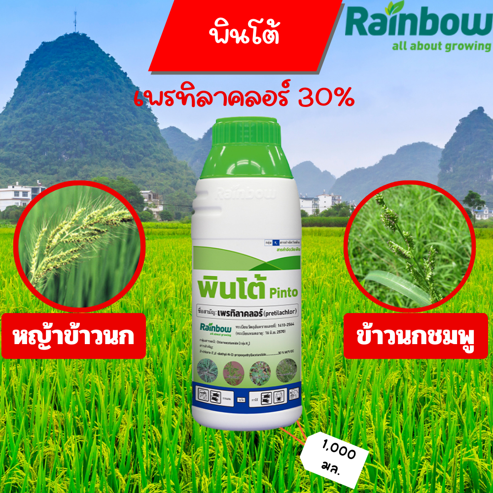 พินโต้ เพรทิลาคลอร์ 30%  สูตร W/V EC ขนาด 1 ลิตร
