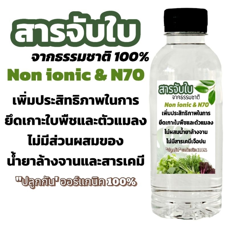 "ปลูกกัน" สารจับใบจากธรรมชาติ 100% ขนาด 250 ml ไม่มีสารเคมี ออร์แกนิค 100%