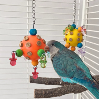 E-82 ของเล่นนกแก้ว มีของเสียบไว้ที่รูได้ ให้นกแก้ว หา แทะเล่…