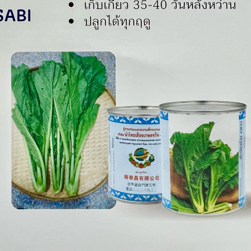 ผักกาดเขียว ชุนฉ่าย เขียวน้อย ประมาณ 4000 เมล็ด