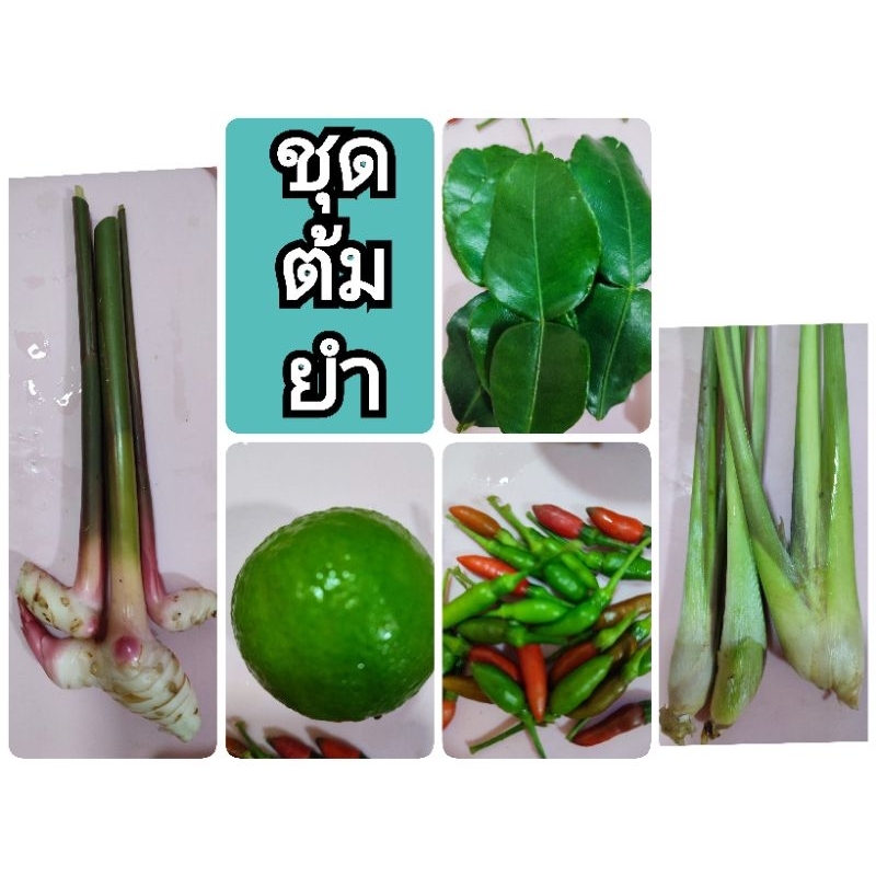 ชุดต้มยำ ผักสดเก็บสดทุกอย่างค่ะ ปลอดภัยปลอดสารพิษ