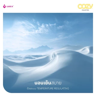 LOTUS ชุดผ้าปู + ผ้านวม อบอุ่นเรียบง่าย นุ่มสบายทุกสัมผัส รุ่น Cozy ส่งฟรี