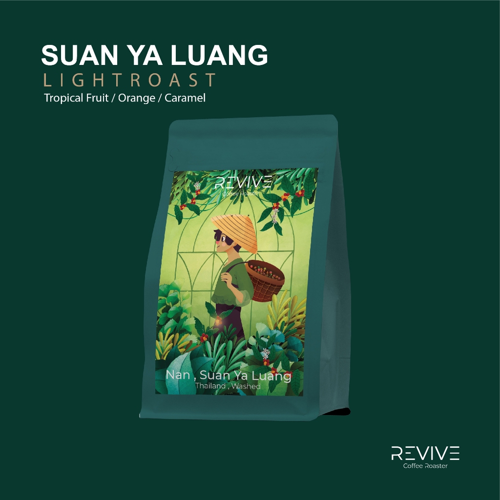 NAN SUAN YA LUANG Single Origin Thailand