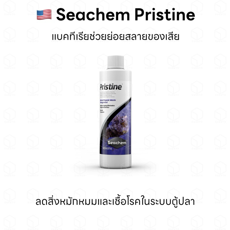 Seachem Pristine™ - แบคทีเรียช่วยย่อยสลายของเสีย สารอินทรีย์, ตะกอน, เศษซากของเสีย ลดสิ่งหมักหมมและเชื้อโรคในระบบตู้ปลา

<p>“><center></p>
<h4></h4>
<p><p><font color=