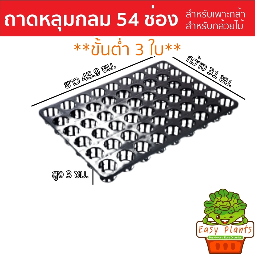 ถาดหลุมกลม 54 หลุม กว้าง 4.30cm สูง 3cm สำหรับเพาะเมล็ด กล้าไม้ กล้วยไม้ ใส่ถ้วยปลูกขนาด 1-2 นิ้วได้