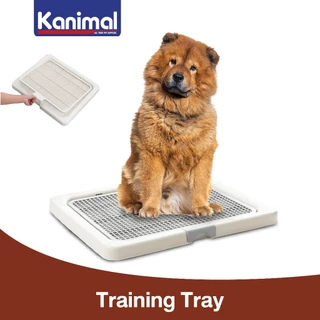 Kanimal Dog Toilet ถาดฝึกฉี่สุนัข ถาดรองซับ ห้องน้ำสุนัข รุ่นเปิดฝาบน สำหรับสุนัขพันธุ์กลาง-ใหญ่ Size M,L,XL