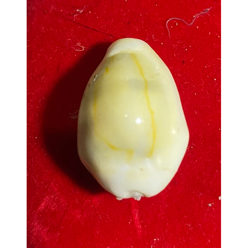 เบี้ยจั่น อุดชันณรงค์หรือขี้สูด ผสมอีพ็อกซี่ บรรจุปรอท