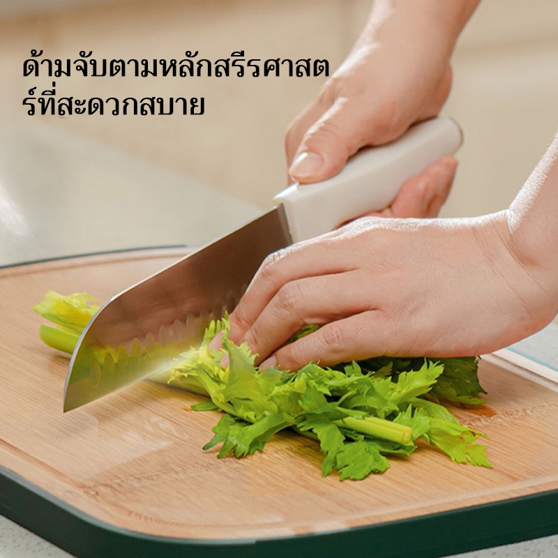 รูปภาพ 2