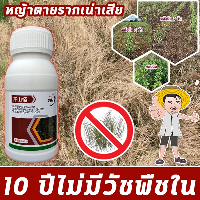 ทำให้รากเน่าเสีย XHS ยาฆ่าต้นไม้ ยาฆ่ากอไผ่ ยาฆ่าตอไม้ 200ml กำจัดต้นไม้และไผ่ให้หมดจด ไม่เป็นอันตรายต่อดิน
