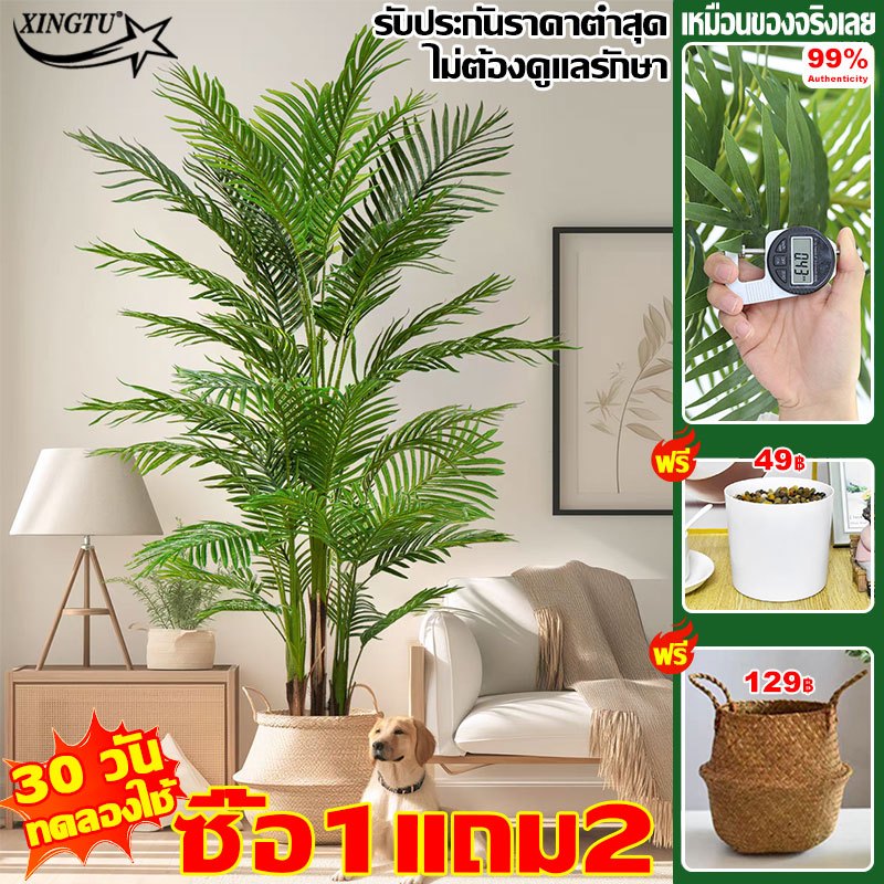 ซื้อ1แถม2 XINGTU ต้นไม้แต่งบ้าน ความจำลอง 99.9% ต้นไม้ปลอม 98cm/24ใบ กระถาง+แถมฟรีหิน ราคาถูกที่สุด ต้นไม้ปลอมใหญ่
