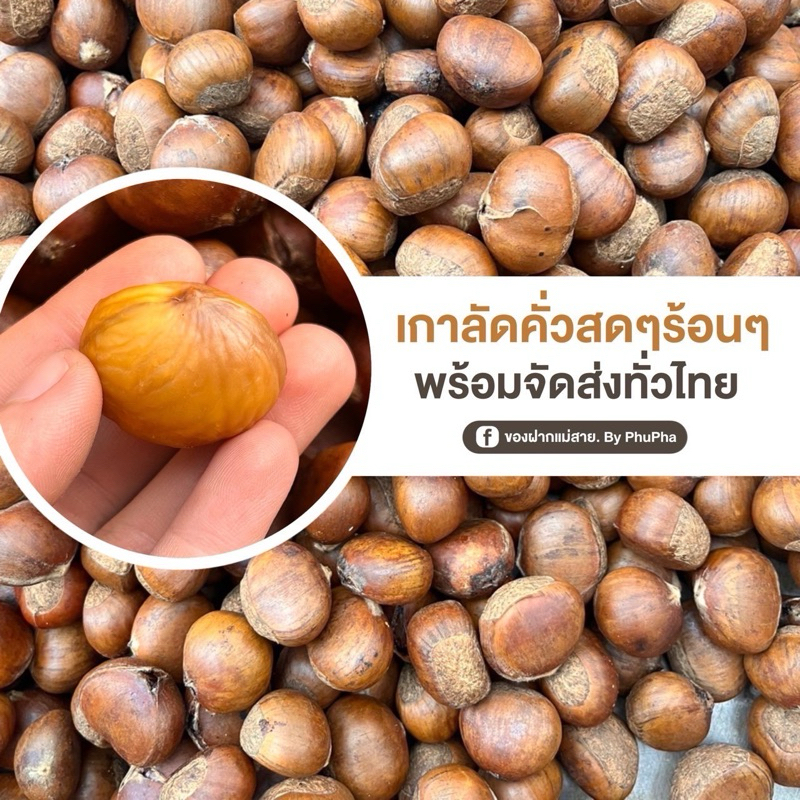💥เกาลัดคั่วสดใหม่ 🌰เกรด A  ✨🔥ไม่ใส่น้ำมัน และไม่ผ่านการต้มมาก่อน ‼️แพ็คเกจแบบซีนสูญอากาศไปให้ ‼️
