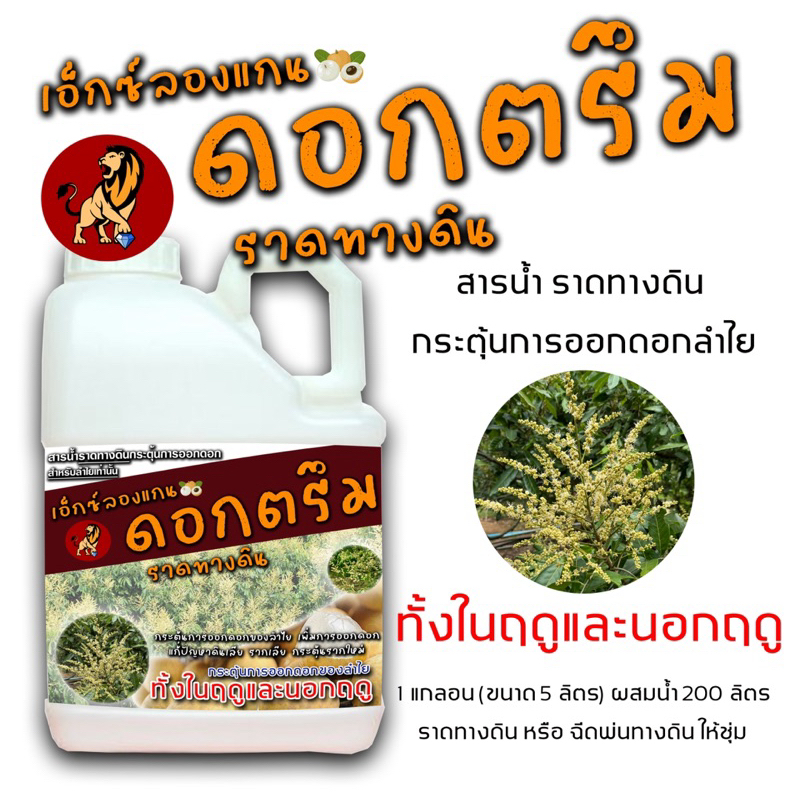 สารราดลำไย ของแท้ รับประกันการแทงช่อดอก #เอ็กซ์ลองแกน ดอกตรึม สารราดทางดิน (5ลิตร)