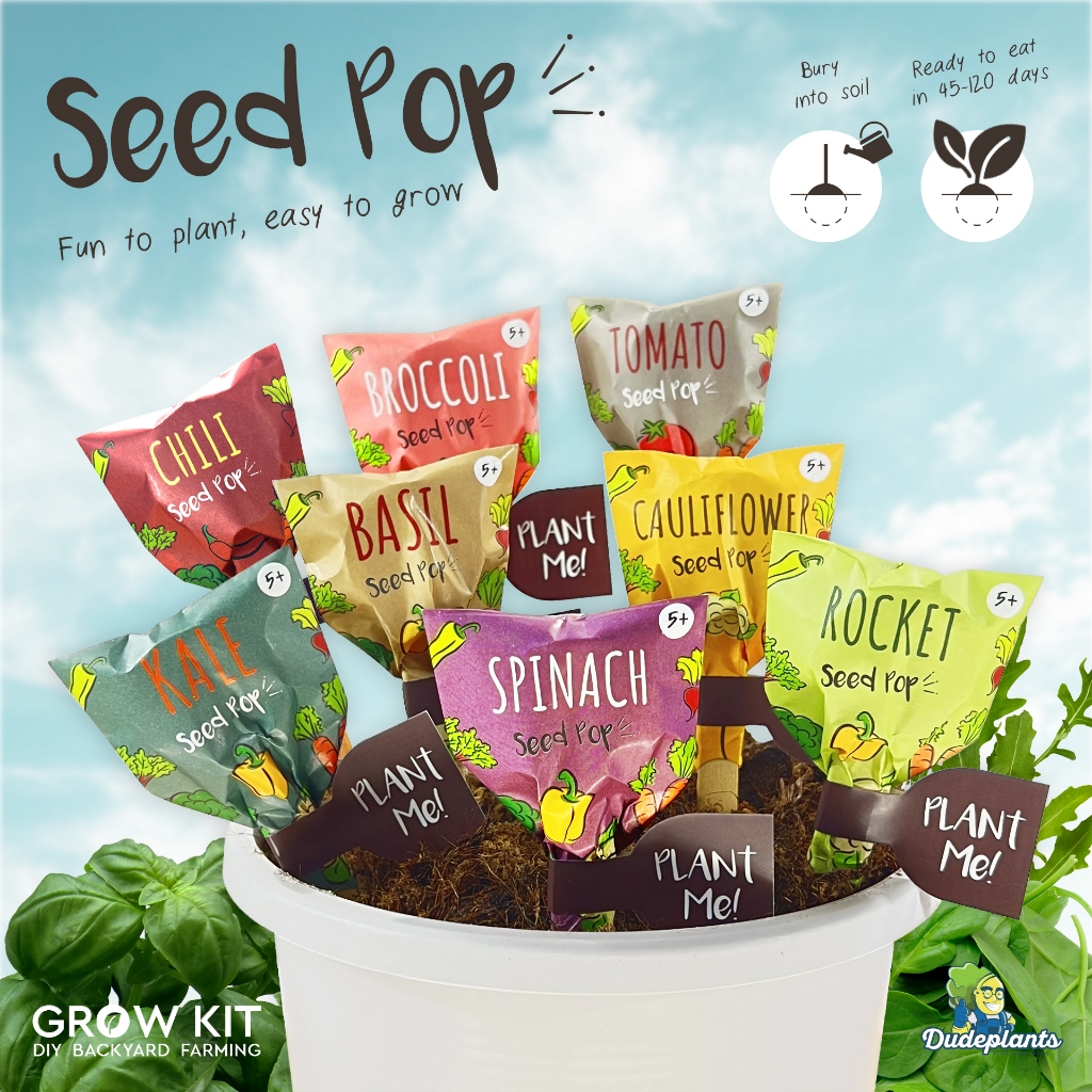 ชุดปลูกผัก Grow kit: Seed pop