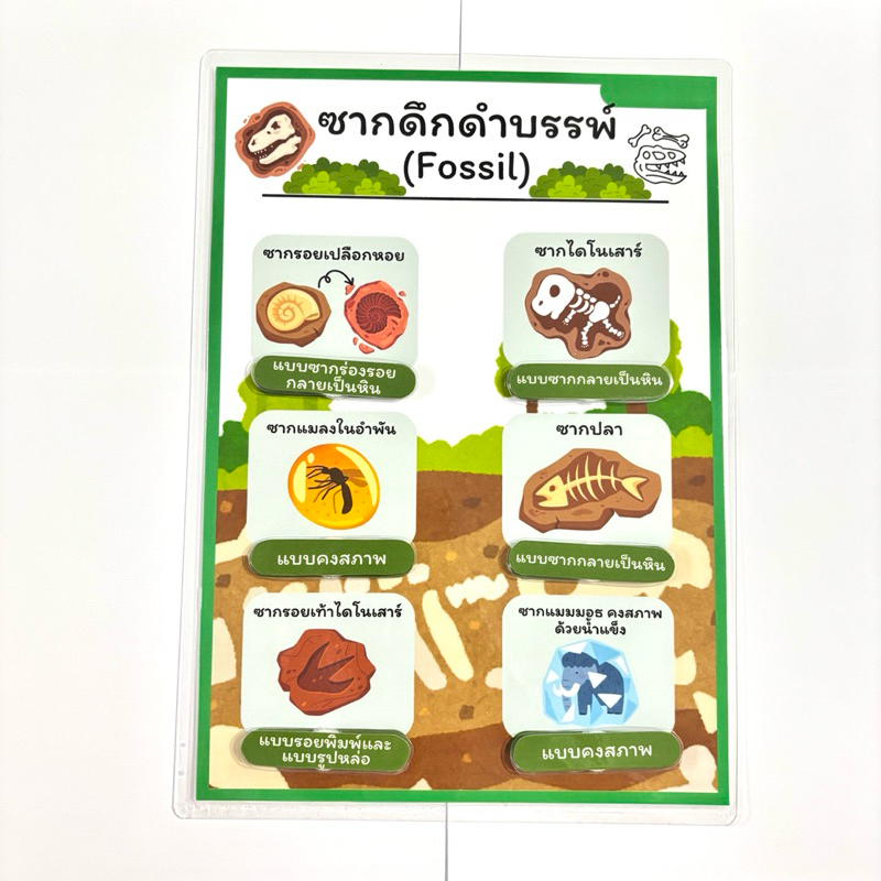"ซากดึกดำบรรพ์“ สื่อการสอนวิทยาศาสตร์