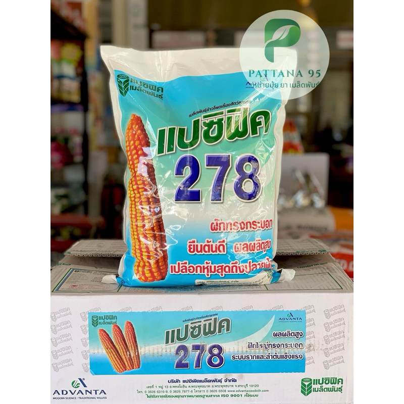 เมล็ดพันธุ์ข้าวโพด แปซิฟิค 278 (3.5หุน) *ขนาด 5 กก. ยืนต้นดี สีได้เนื้อ นํ้าหนักดี ฝักใหญ่ ผลผลิตสูง