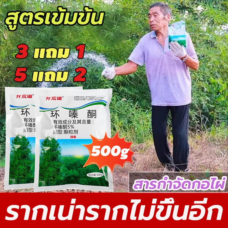 【ซื้อ 3 แถม 1】รากไม้เน่า500g ยาฆ่าต้นไม้ใหญ สร้างมาเพื่อฤดูฝน ยาฆ่าตอต้นไม้ แค่โรยเพียงเล็กน้อย กำจัดวัชพืชเปิดที่รกราง