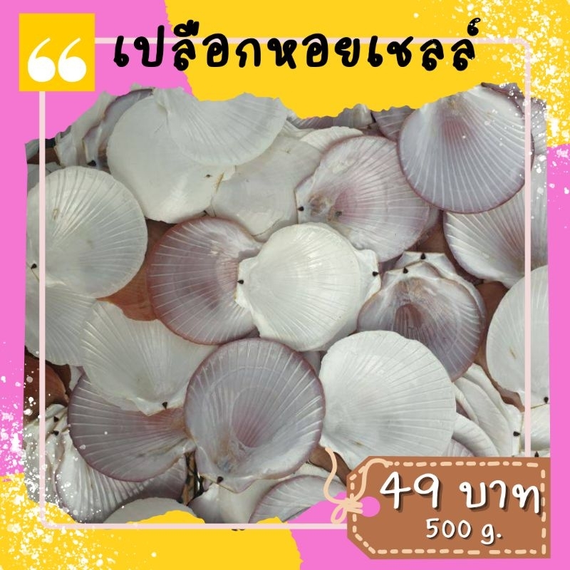 เปลือกหอยเชลล์ หนัก 5 ขีด คละไซส์ สำหรับงานหัตกรรม โมบาย ทำความสะอาดแล้ว