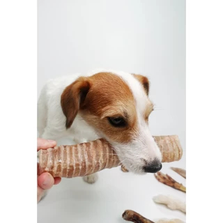 Pet Project หลอดลมวัวอบแห้ง Dehydrated Beef Tracheaขนมขัดฟันสุนัข 100% Natural