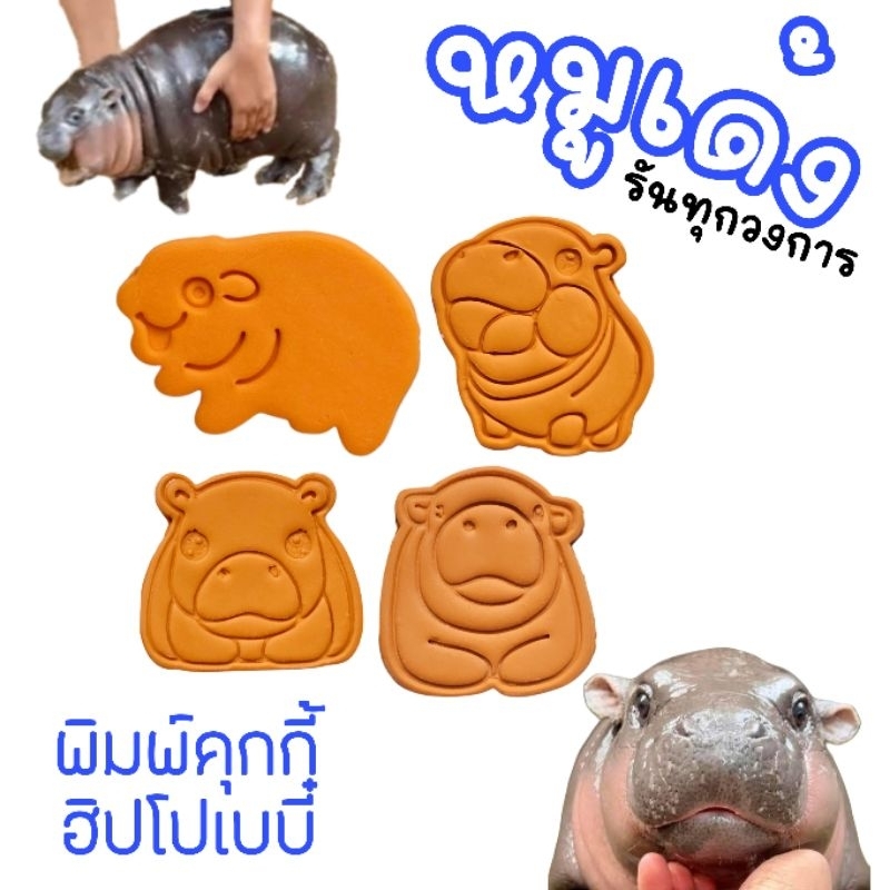 พิมพ์คุกกี้ หมูเด้ง ฮิปโปโปเตมัส พิมพ์ฮิปโป