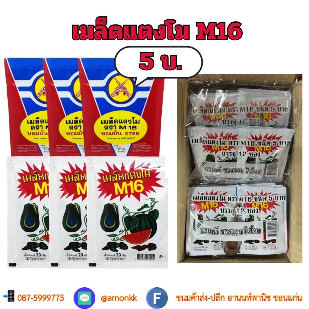 เมล็ดแตงโม 5 บาท ตรา M16✨ กินเพลิน แสนอร่อย หยุดไม่อยู่