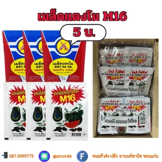 เมล็ดแตงโม 5 บาท ตรา M16✨ กินเพลิน แสนอร่อย หยุดไม่อยู่