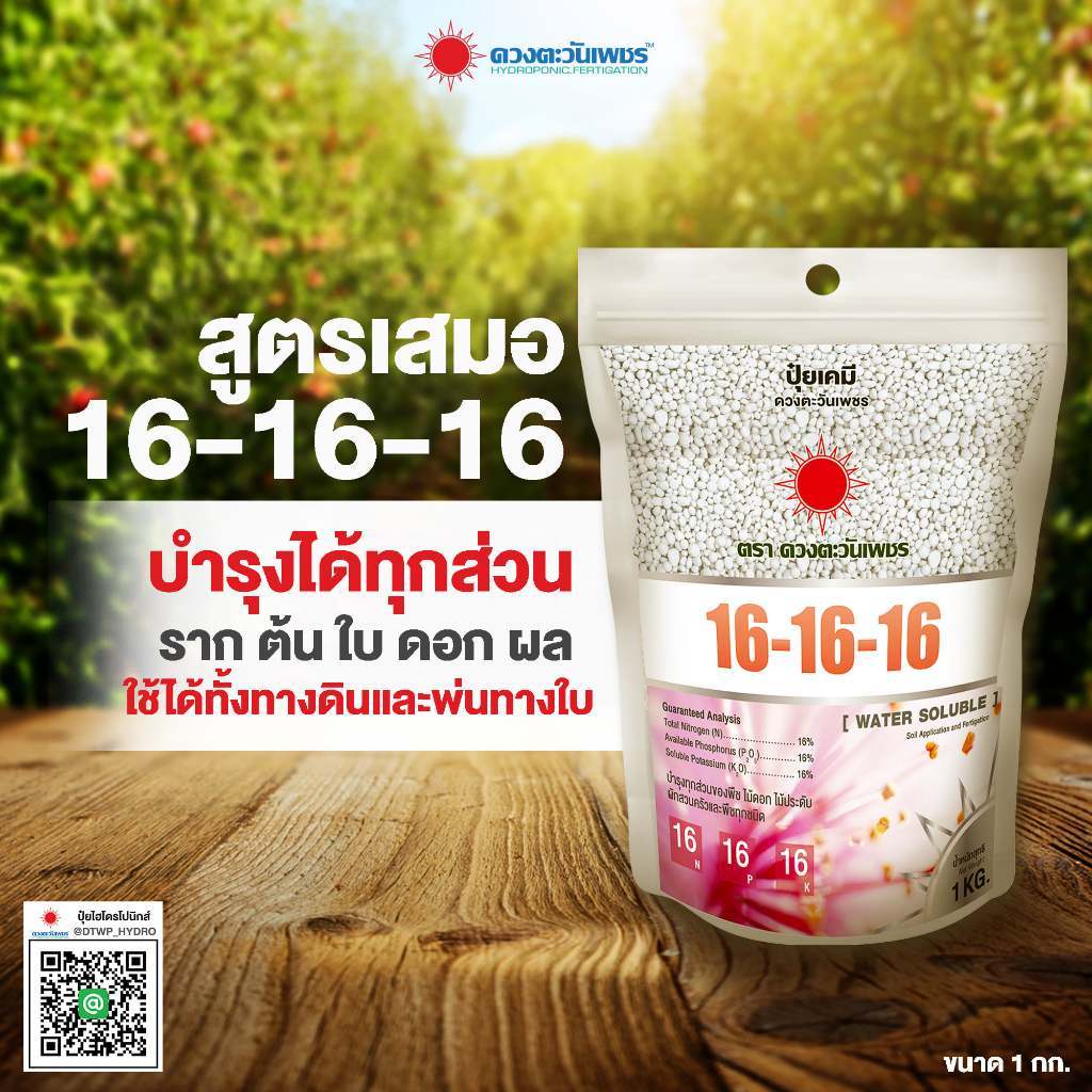 16-16-16 ดวงตะวันเพชร ขนาด 1 กก.พ่นทางใบ น้ําหยด หว่านทางเดิน ละลายง่าย พืชกินไว บํารุงทุกระยะของพืช