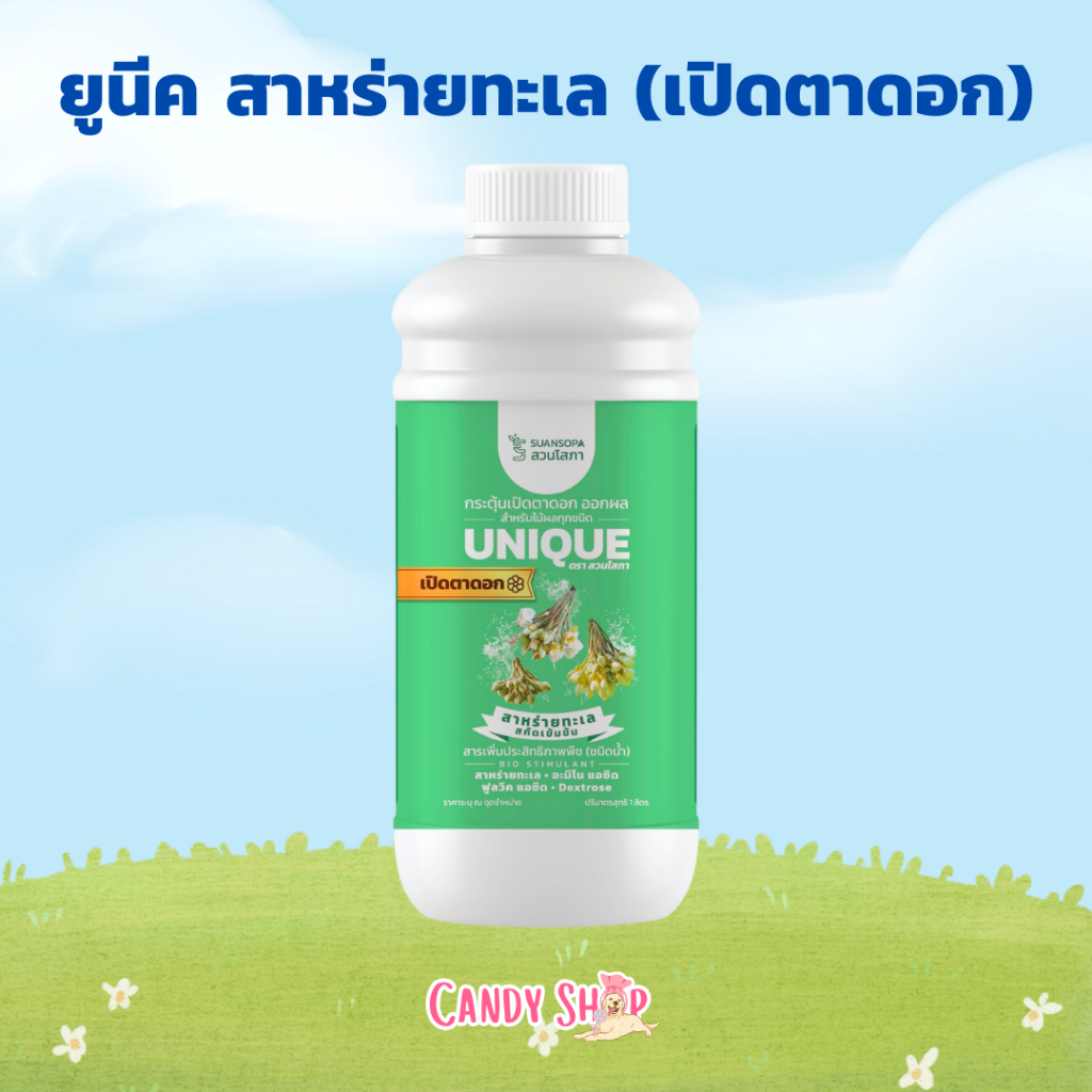 ยูนีค สาหร่ายทะเล เข้มข้น สูตรเปิดตาดอก สะสมอาหาร พร้อมออกดอก ดอกสมบูรณ์ แข็งแรง พร้อมออกผลผลิต ขนาด 1 ลิตร